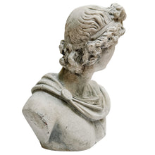 Classical Apollo Concrete Bust