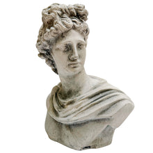 Classical Apollo Concrete Bust