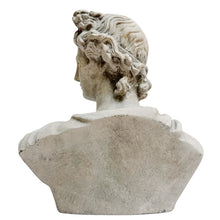 Classical Apollo Concrete Bust