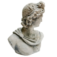 Classical Apollo Concrete Bust