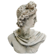 Classical Apollo Concrete Bust