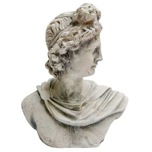 Classical Apollo Concrete Bust