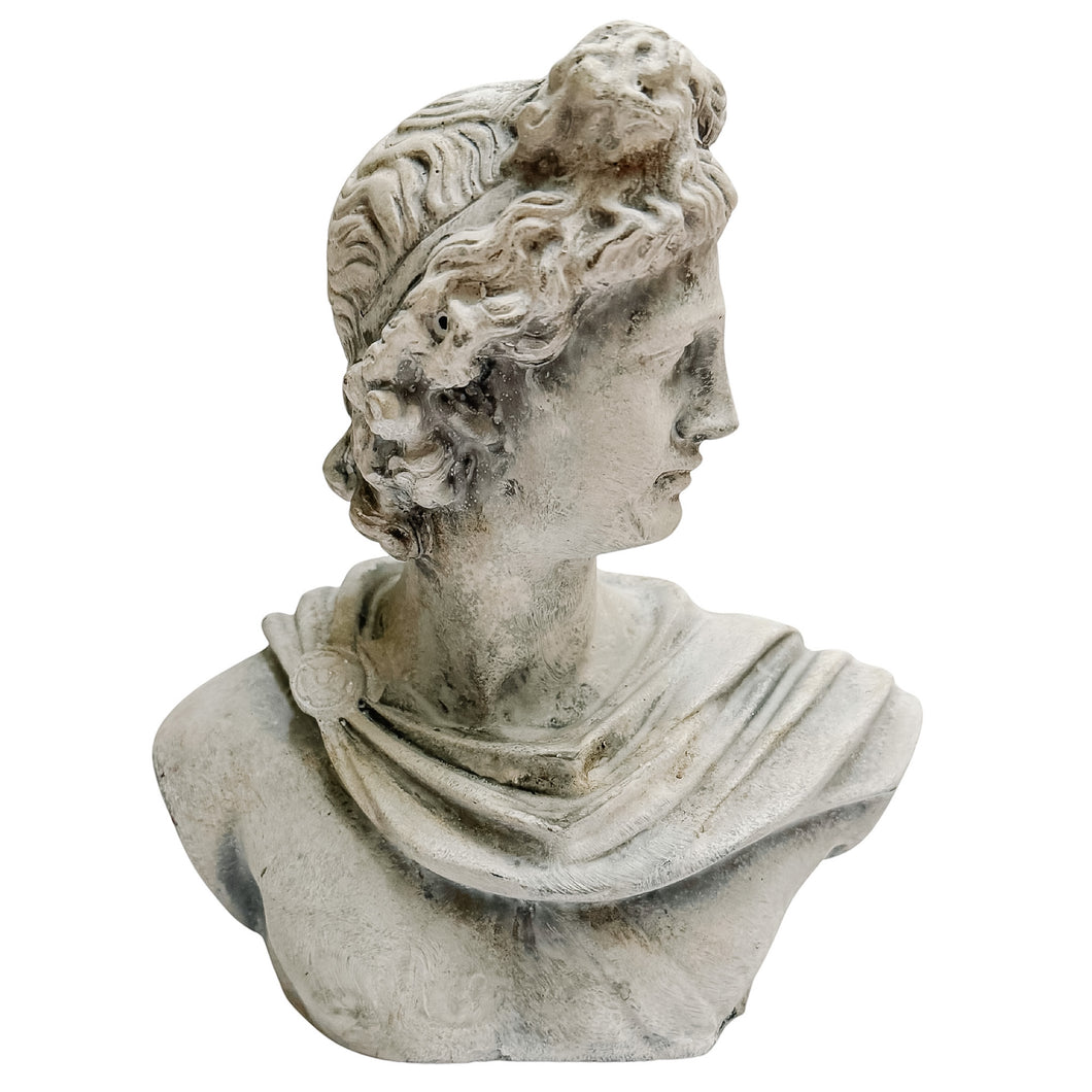 Classical Apollo Concrete Bust