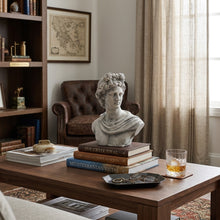 Classical Apollo Concrete Bust